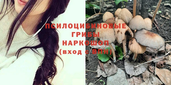 a pvp Новосибирск