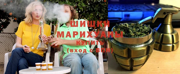 молекула духа Пенза