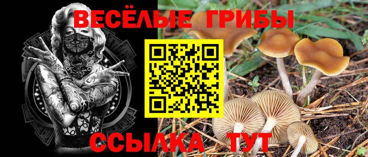 Галлюциногенные грибы мицелий  Вход с VPN  Великий Новгород 