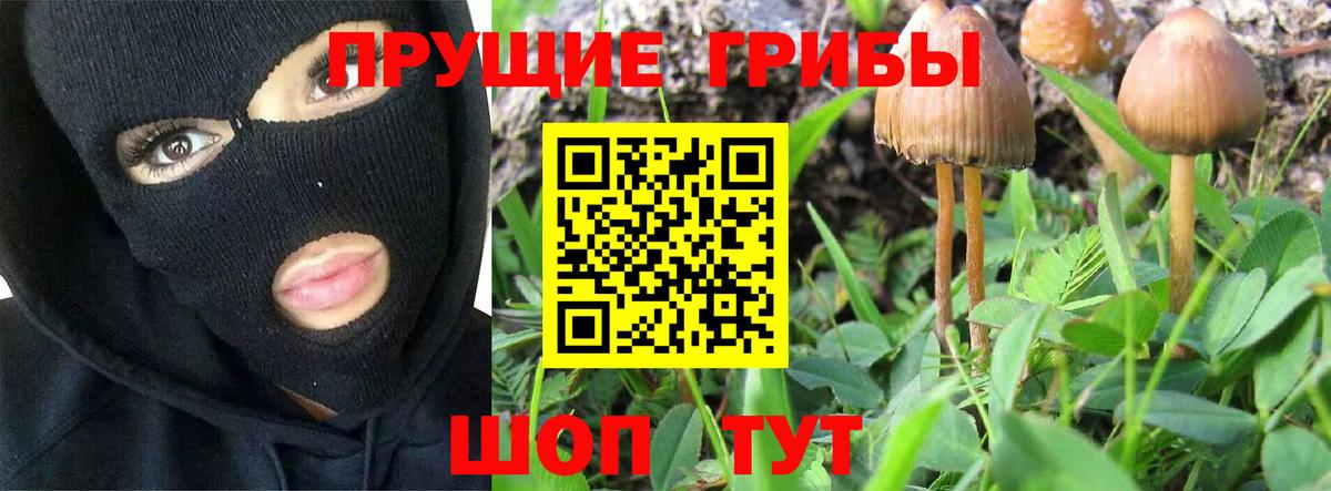 Псилоцибиновые грибы MAGIC MUSHROOMS Великий Новгород